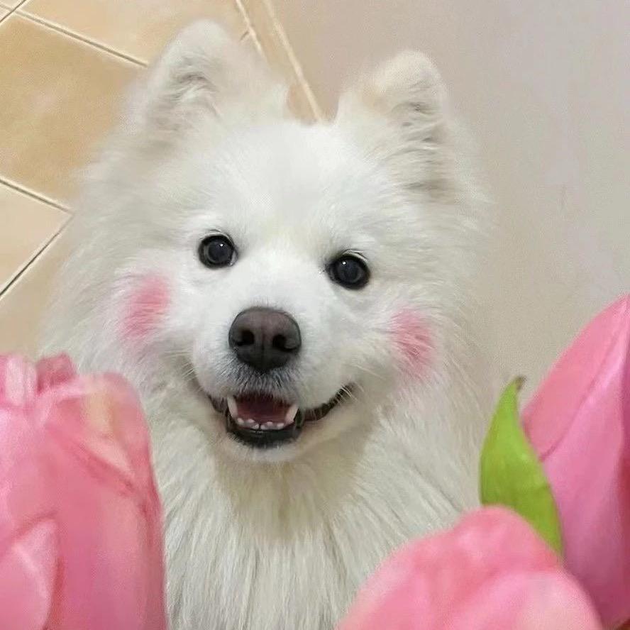 一条金鱼