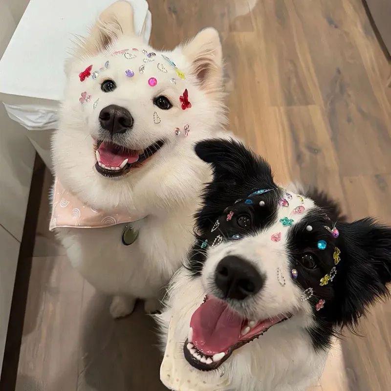 在宇宙听音乐会的海星