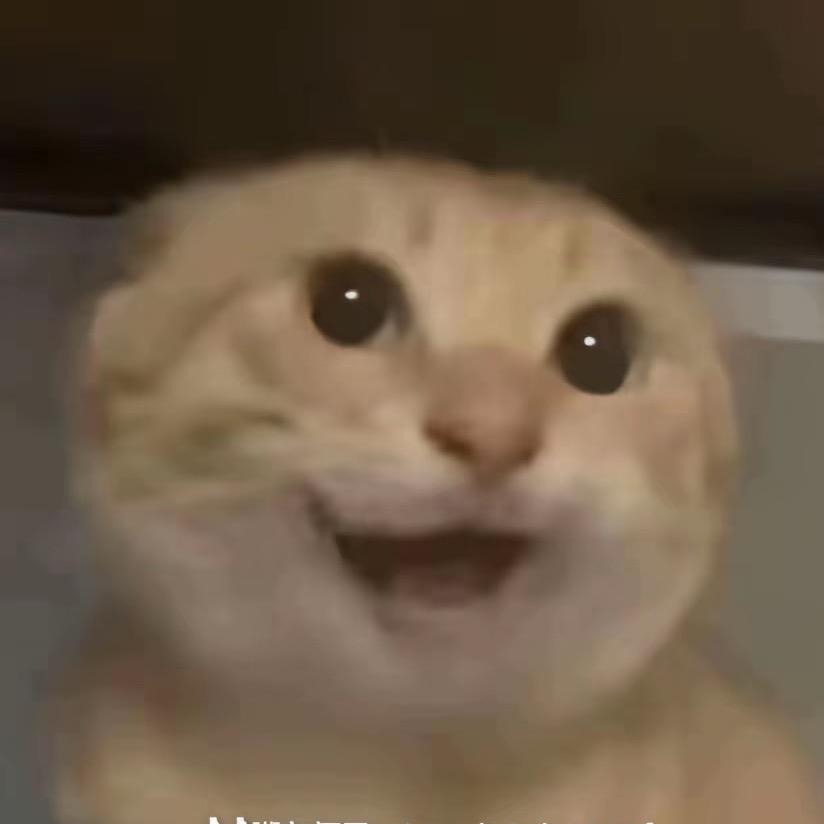 鱿鱼丝（萤火突击）