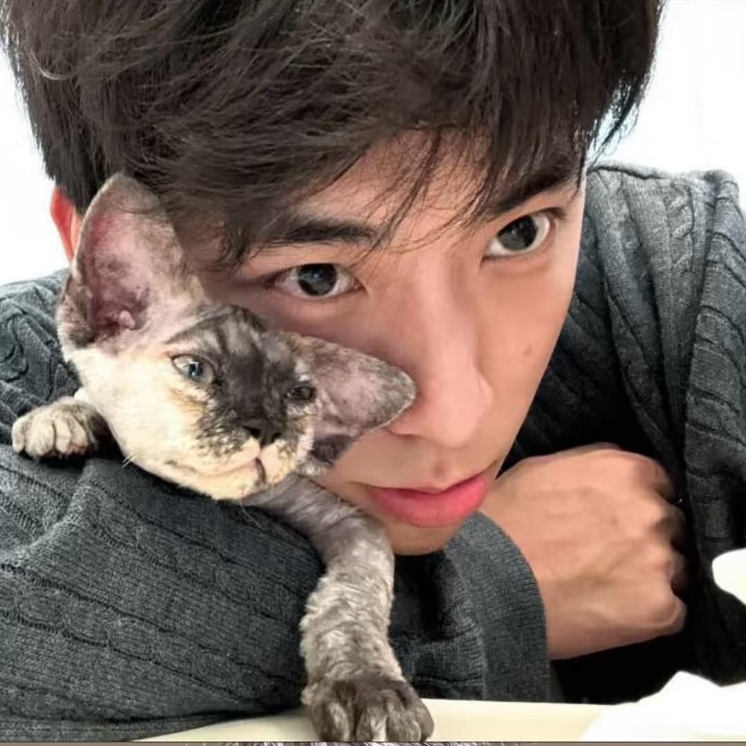 叙利亚里的波比.