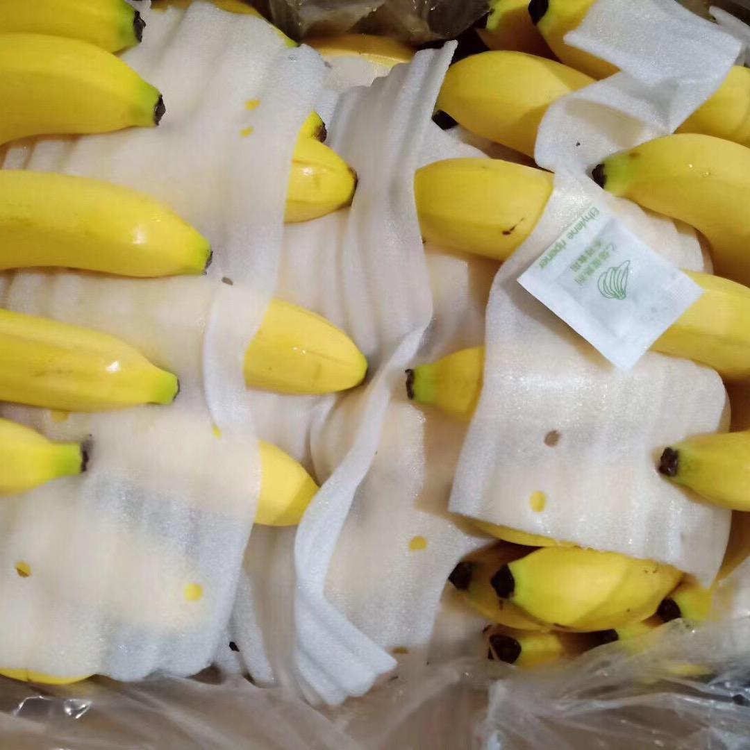 小闫精品香蕉