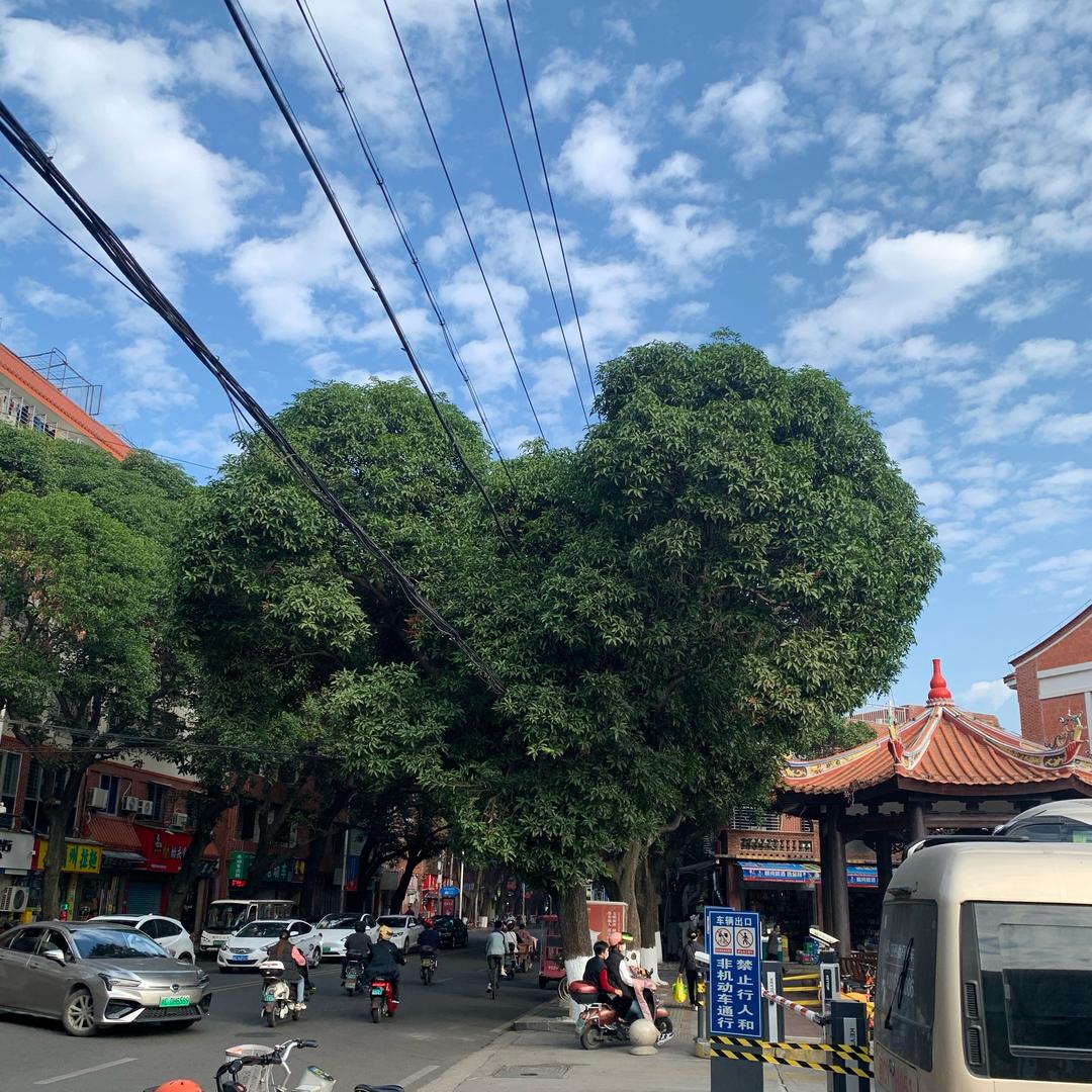 小巷日志（互关版）