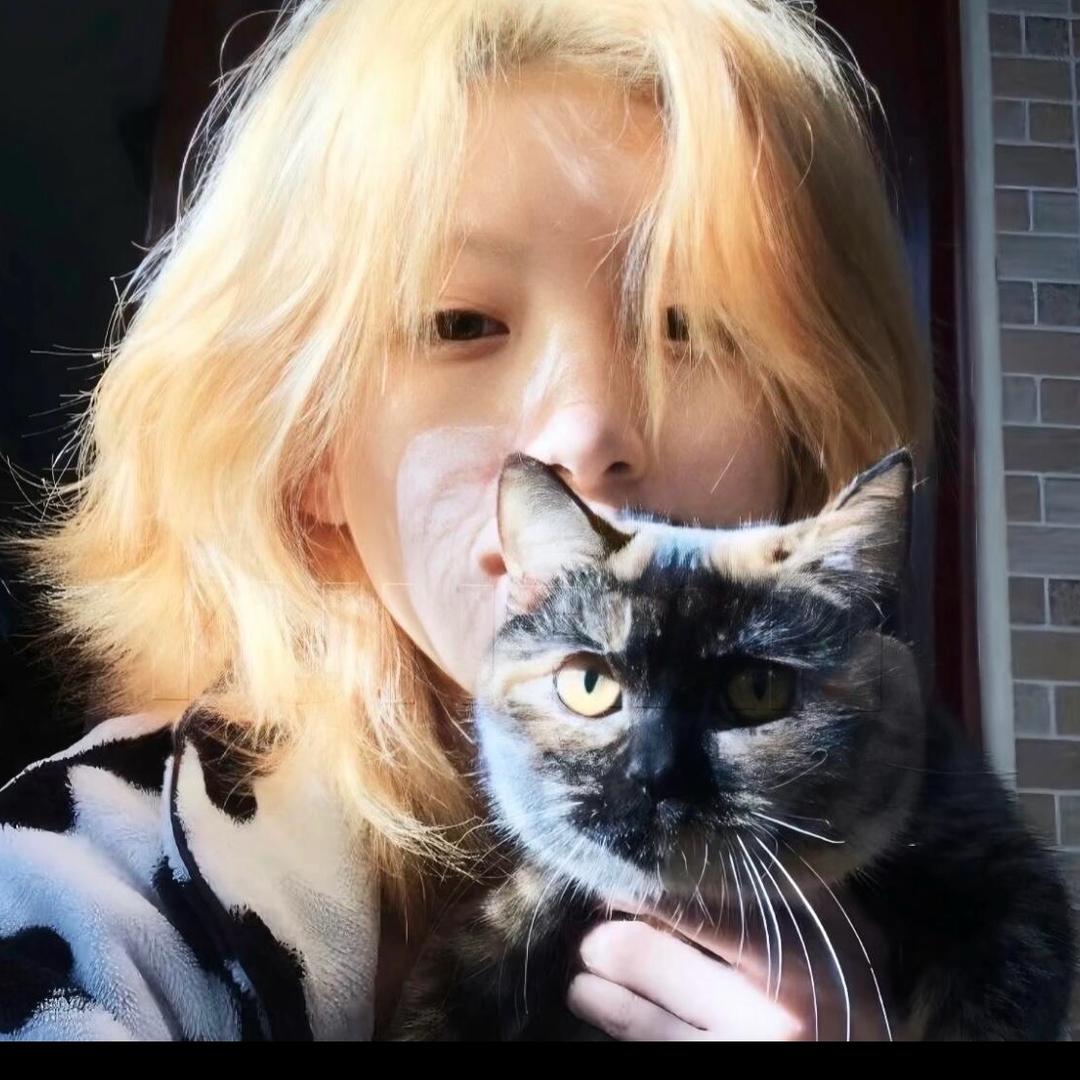 扶老奶奶闯红灯的元气少女霸天