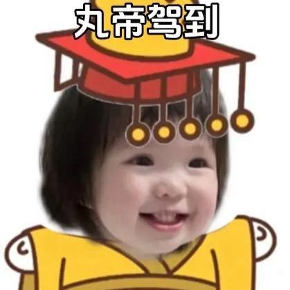 狂野母蟑螂