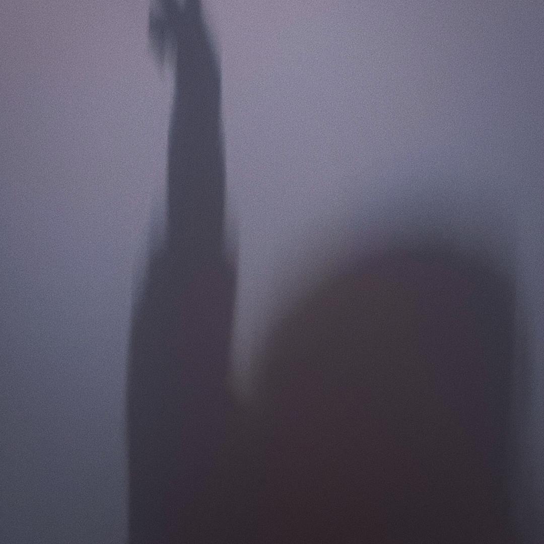 ✨ 凌晨一点的猫