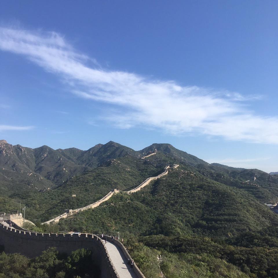 广西陈肆哥