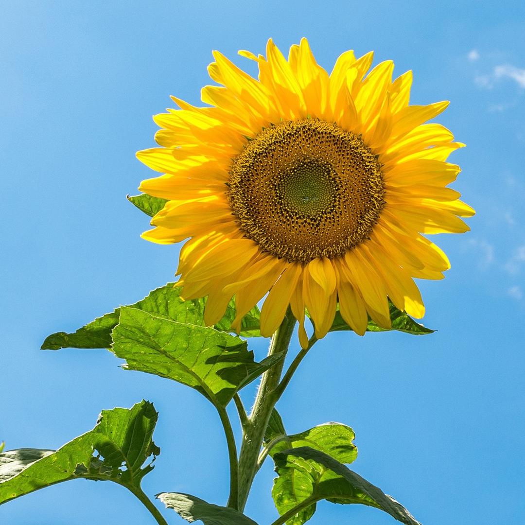 东王集港城易购生鲜超市
