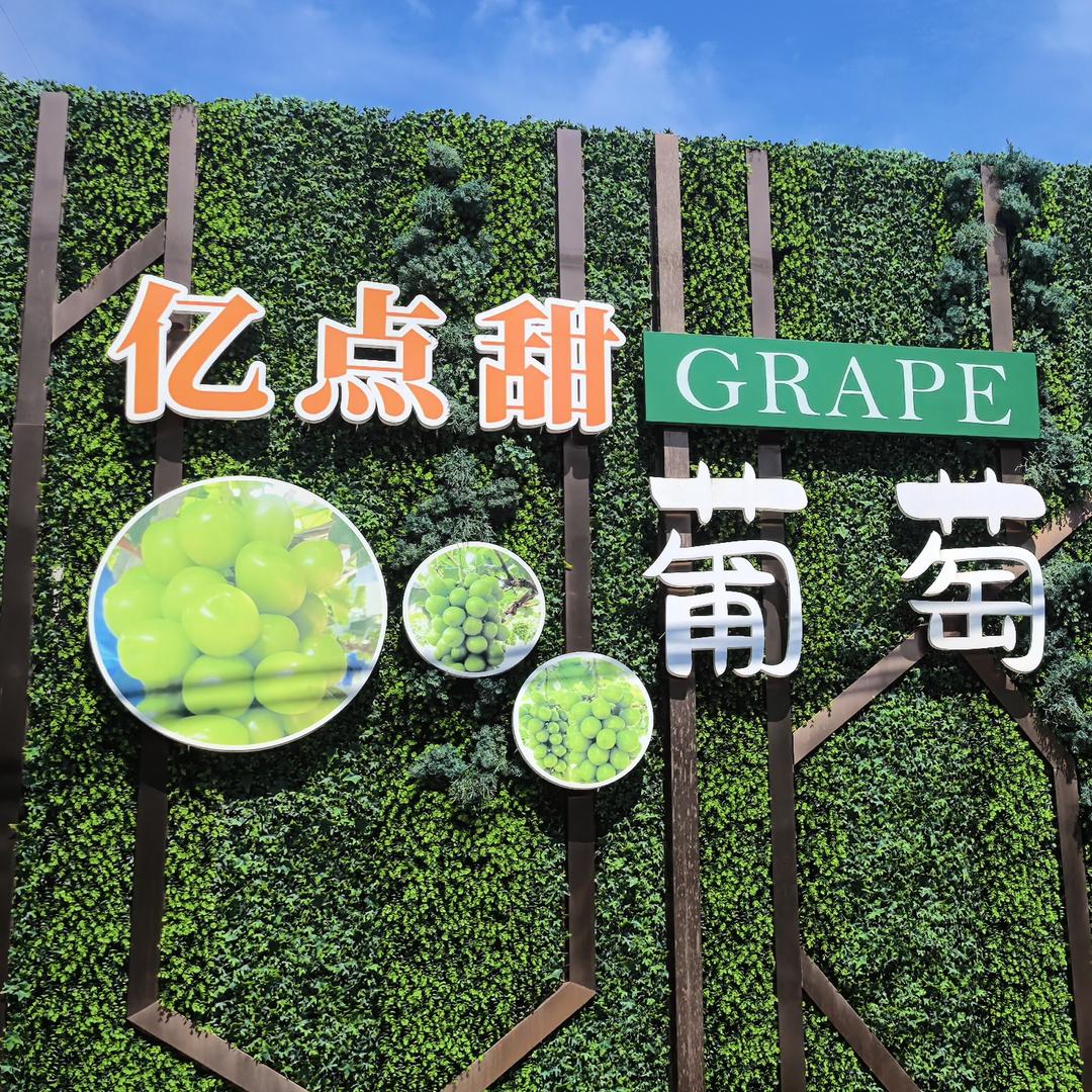 集中优势
