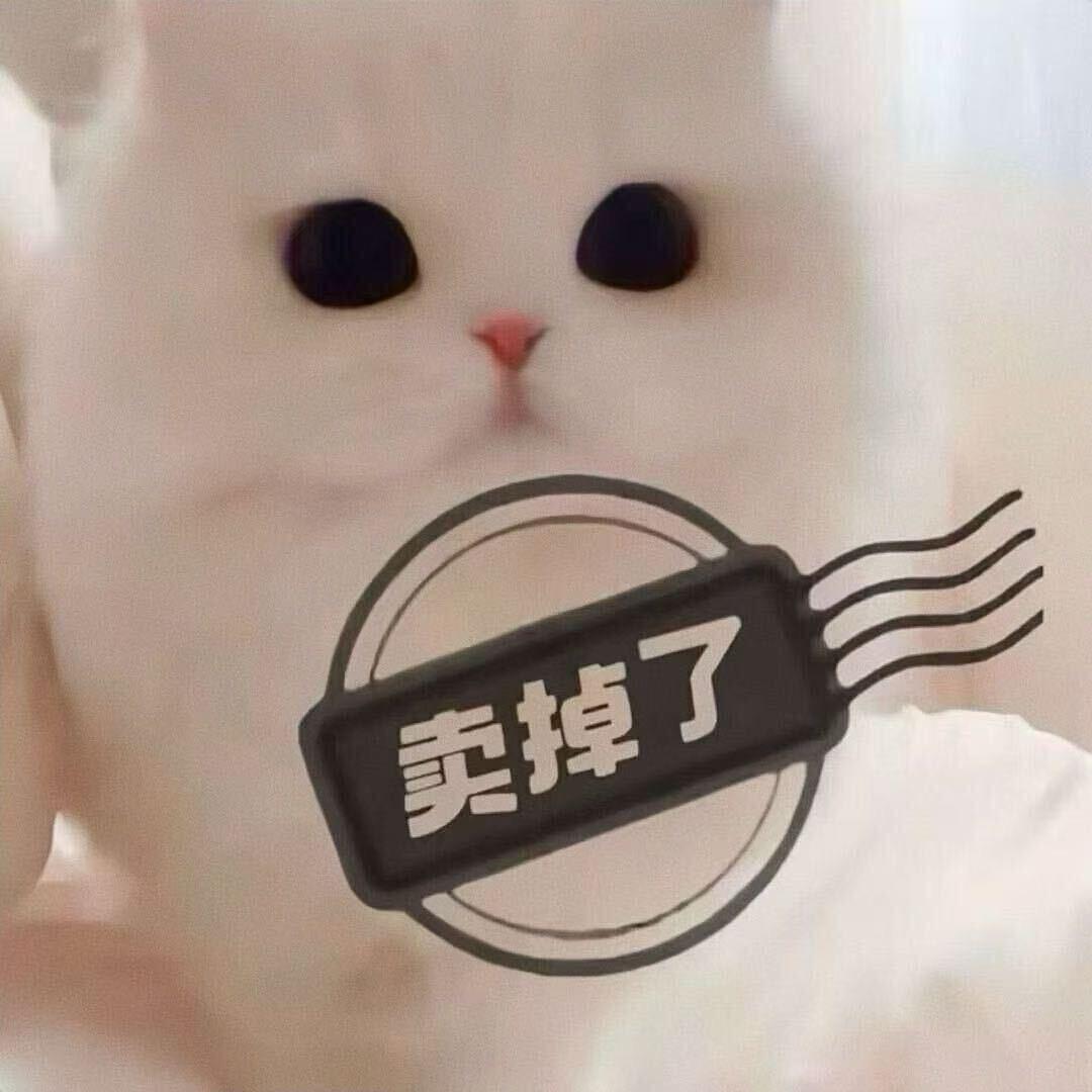 我总是太笨