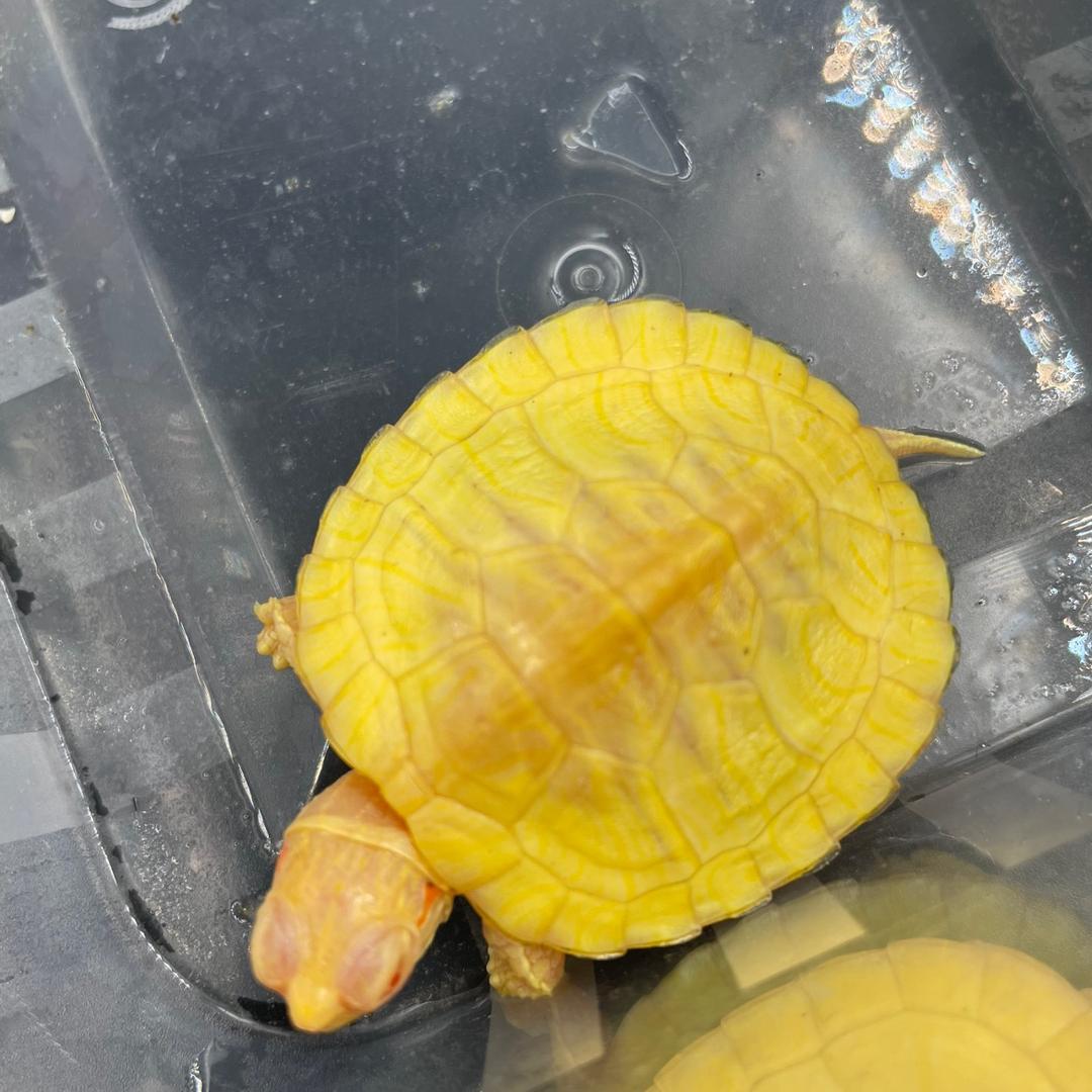 游玩世开始