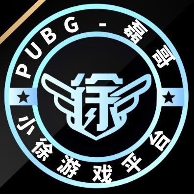 磊哥pubg评估（小徐阁）