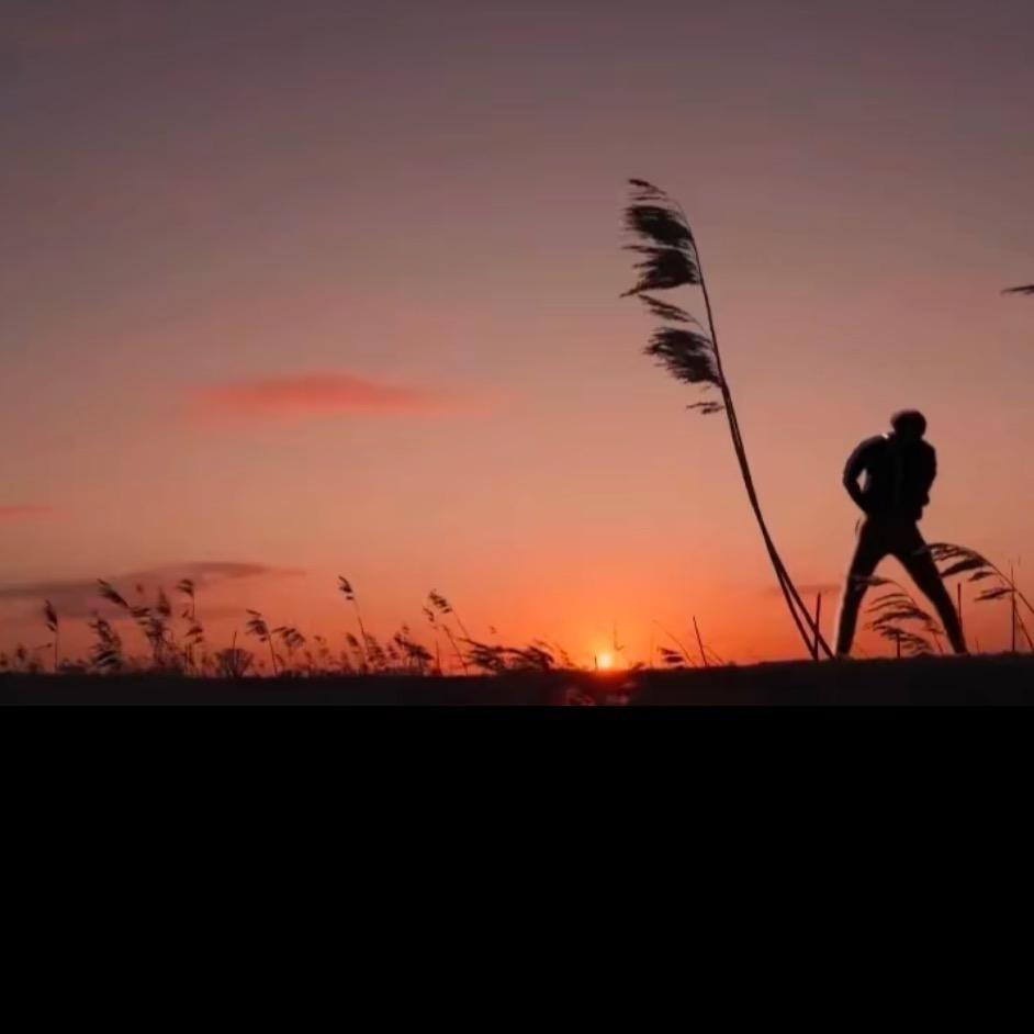 梅狸猫🐱（柯🐔2029）