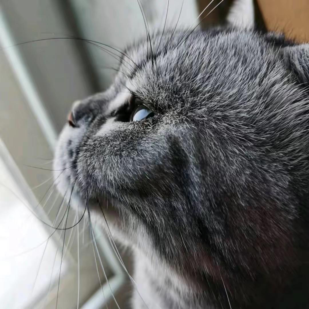 好好选择天天学习