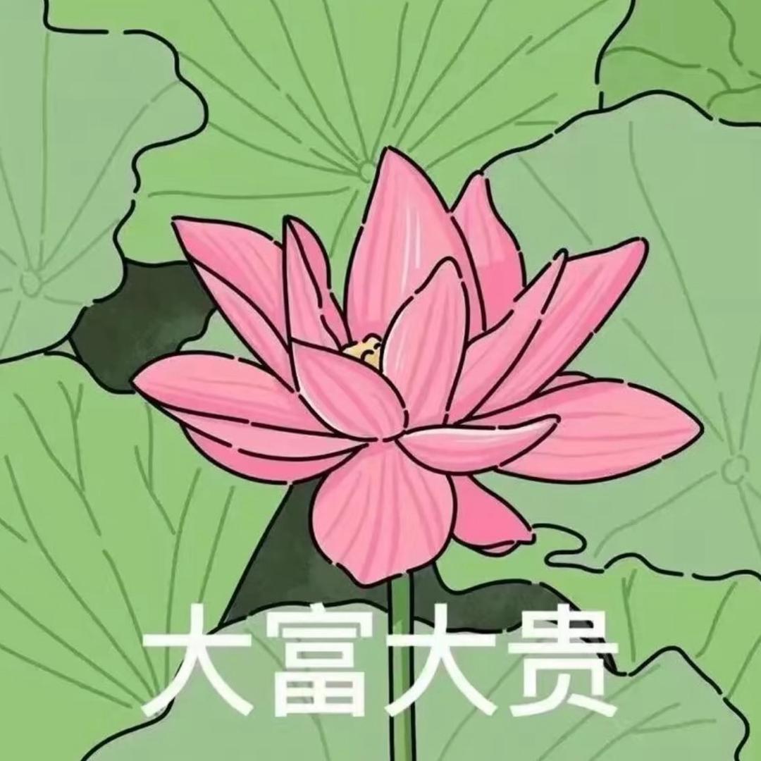 奶油小土豆🥔