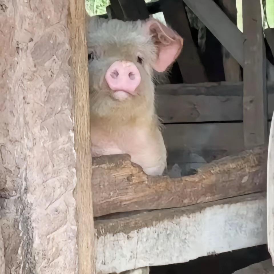 白天送外卖，晚上打王者