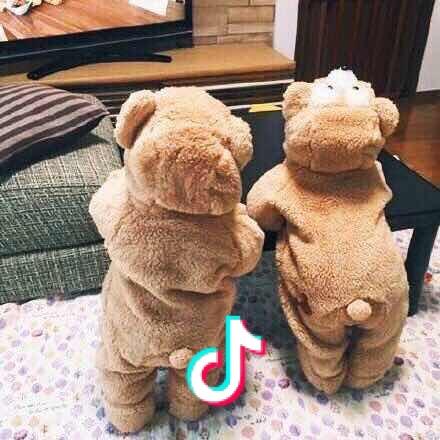 🌼日和🐣哆咪