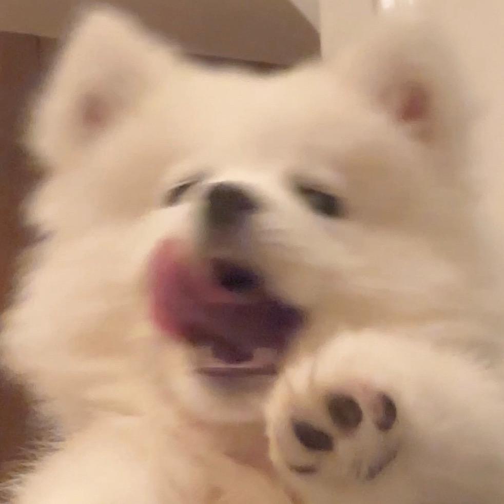 书翊