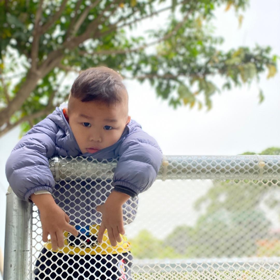 乐哥带你吃喝玩乐