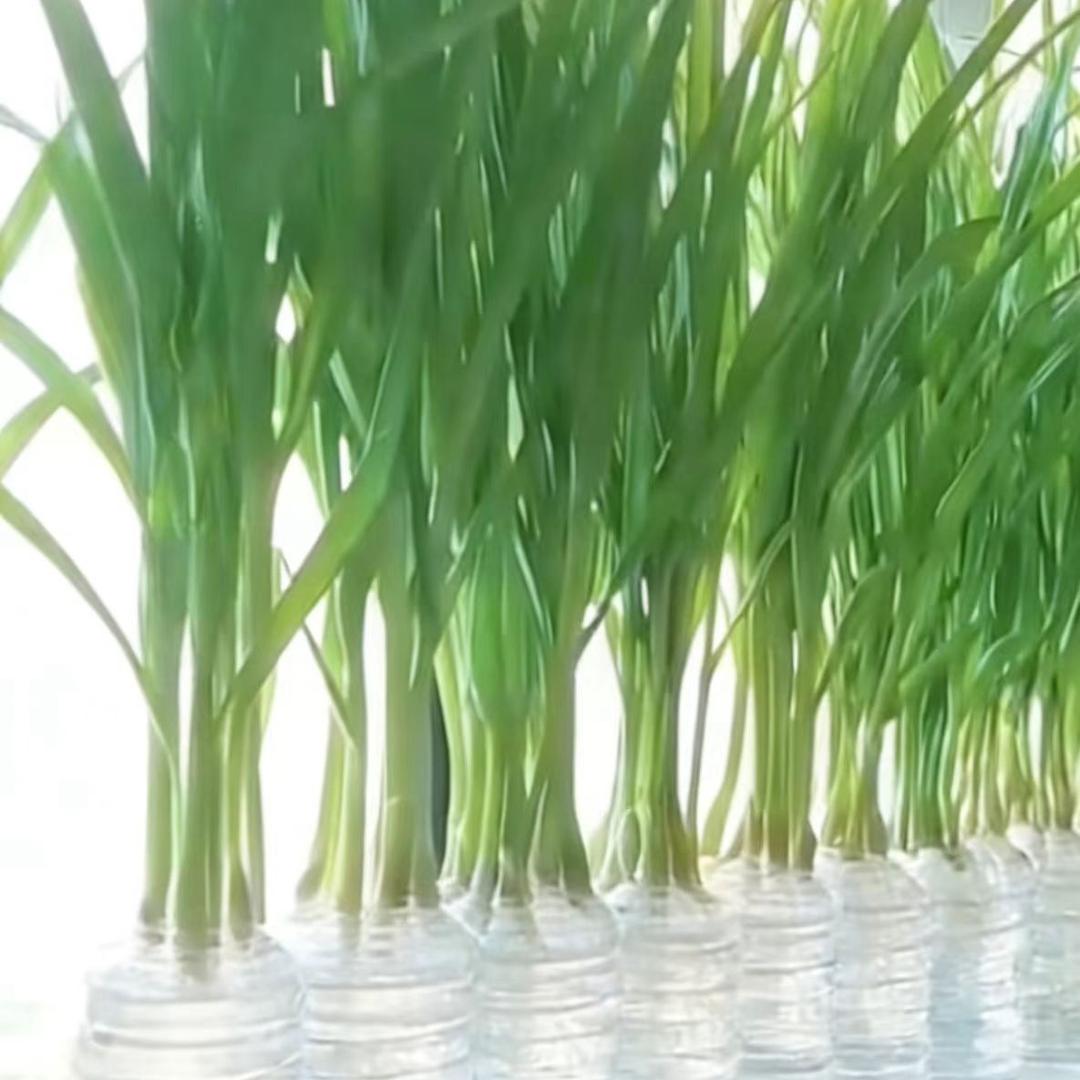 小家的三餐四季