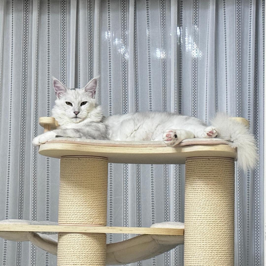 （甄）家小富婆