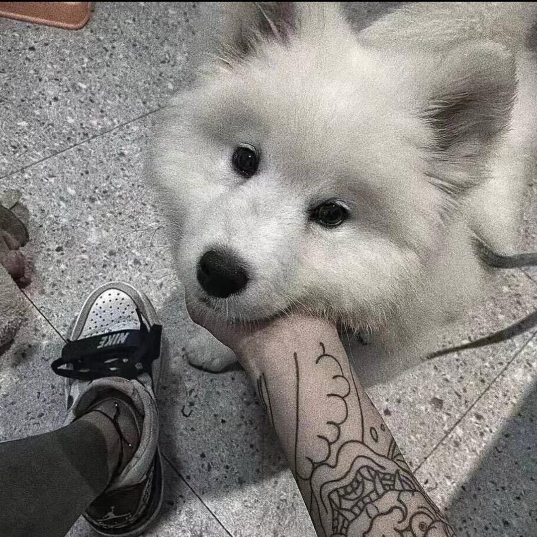 ¥