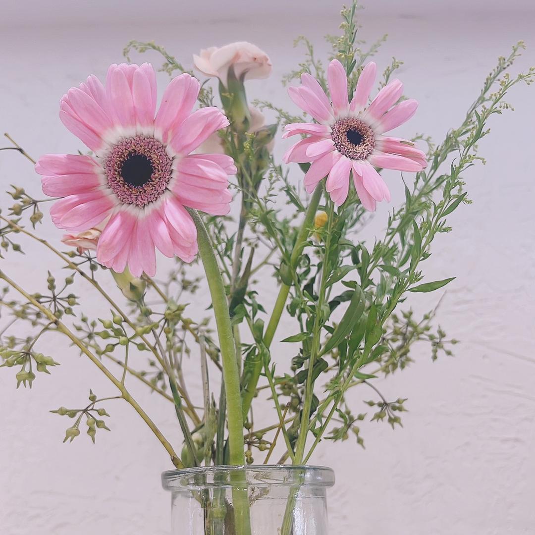 ℳℒℴѵℯ丹·ོꦿృ༊