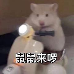Kk总的小橱窗.小七版本