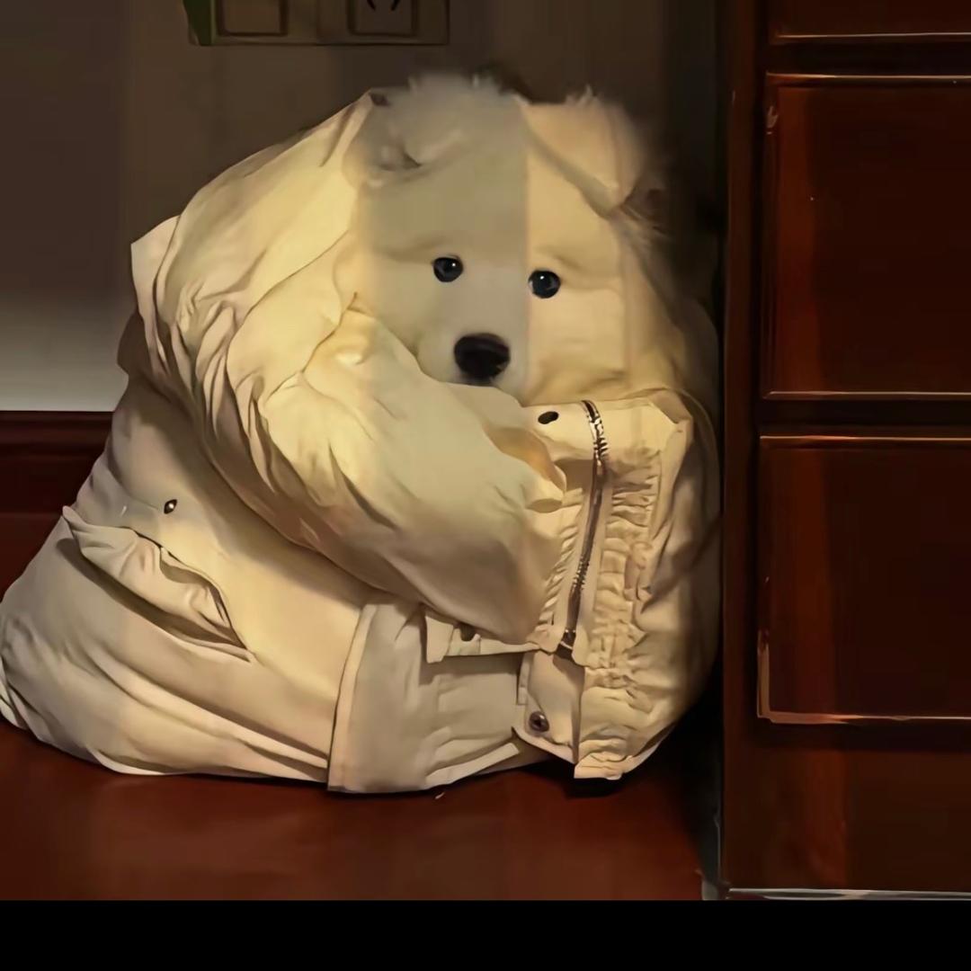 饿了😑
