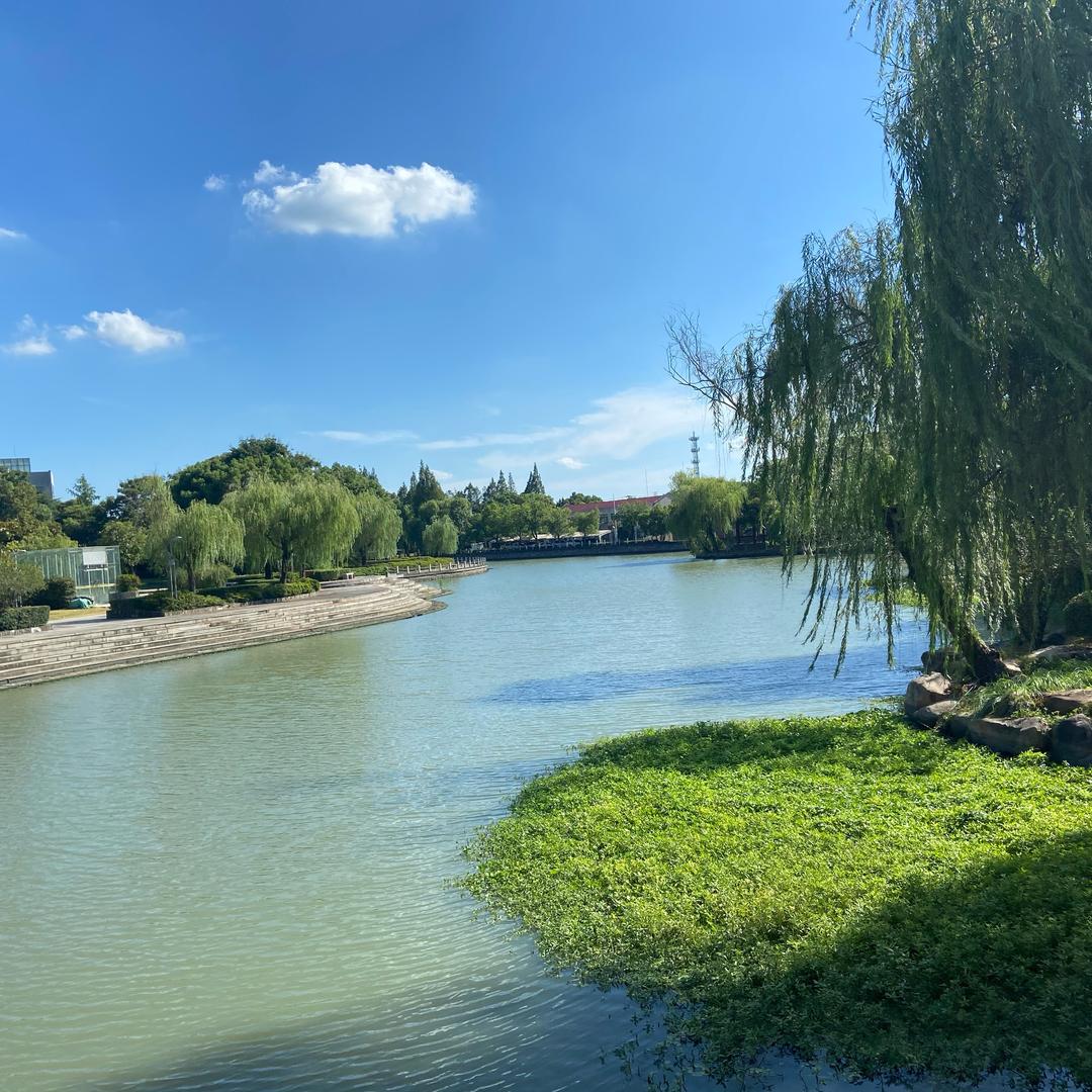 做回自己（努力涨粉，有关必回）