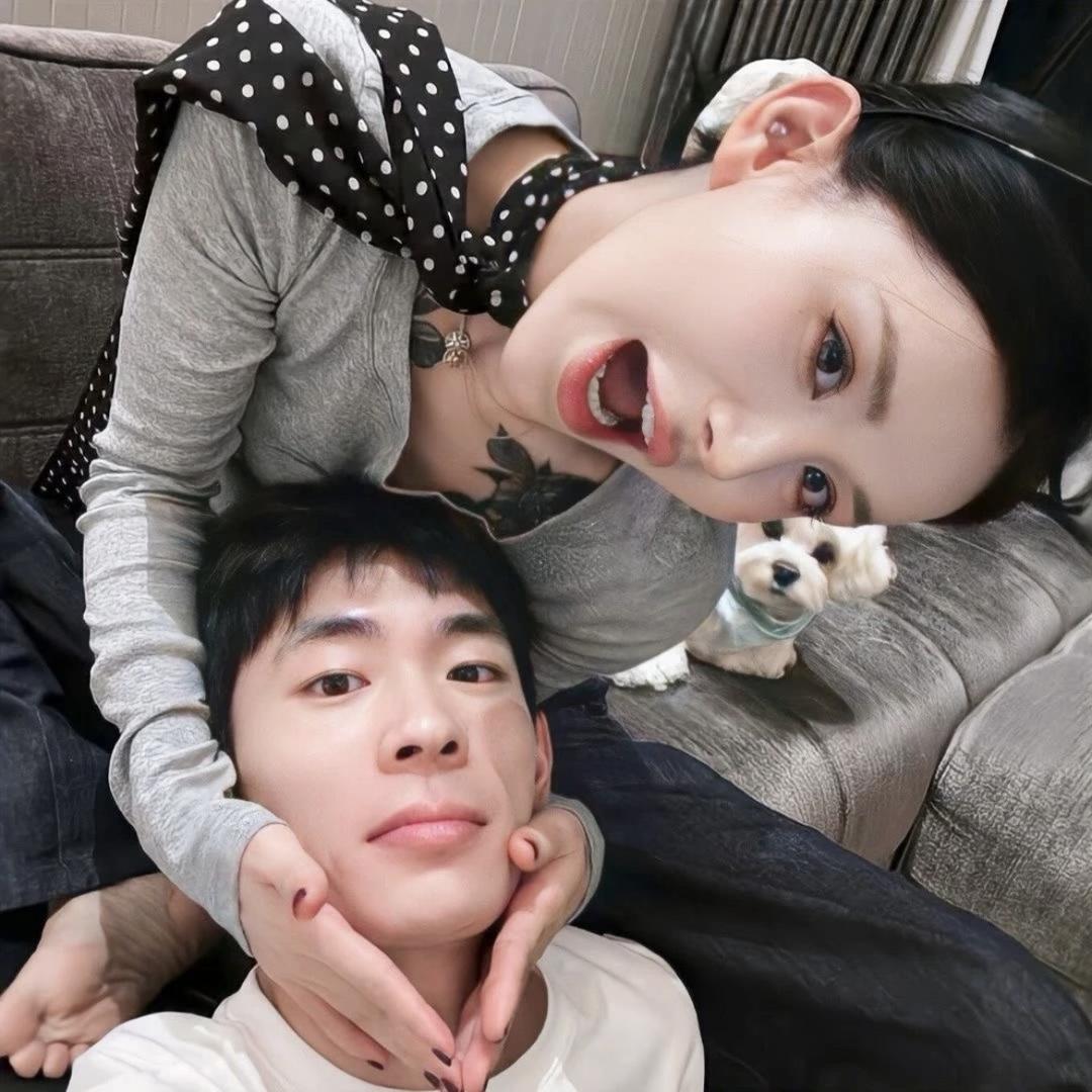 小晨y