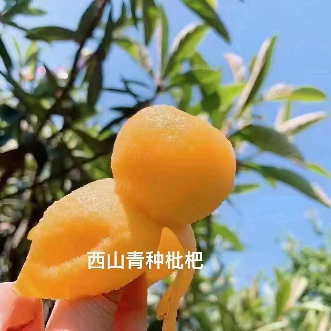 陆其昌农产品生活坊