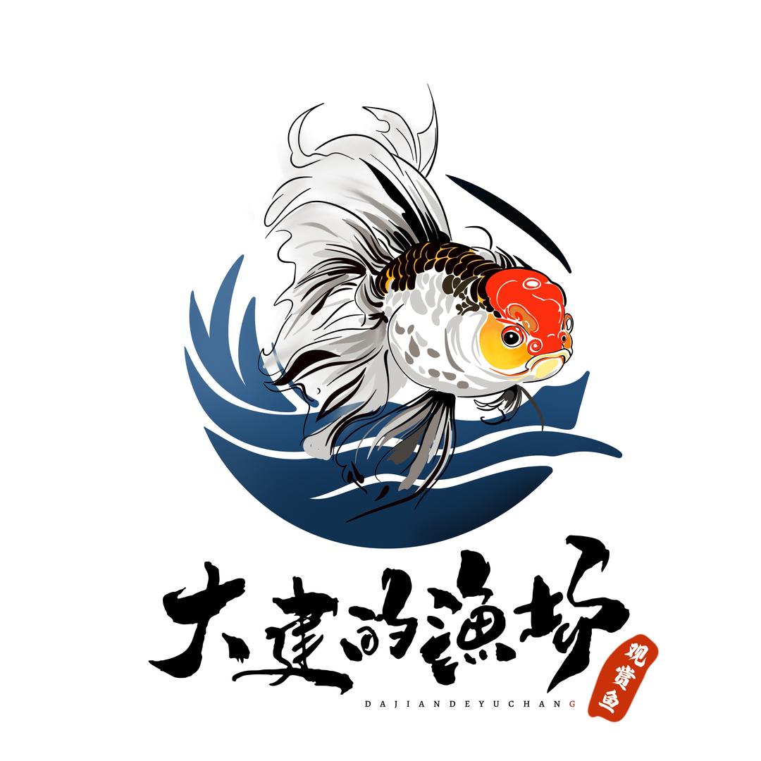 大建养金鱼