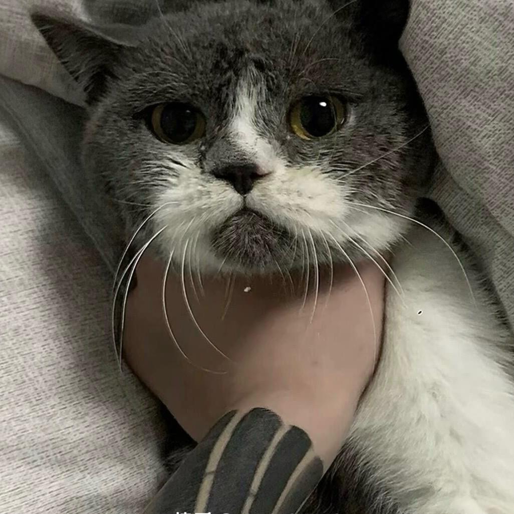 EmO