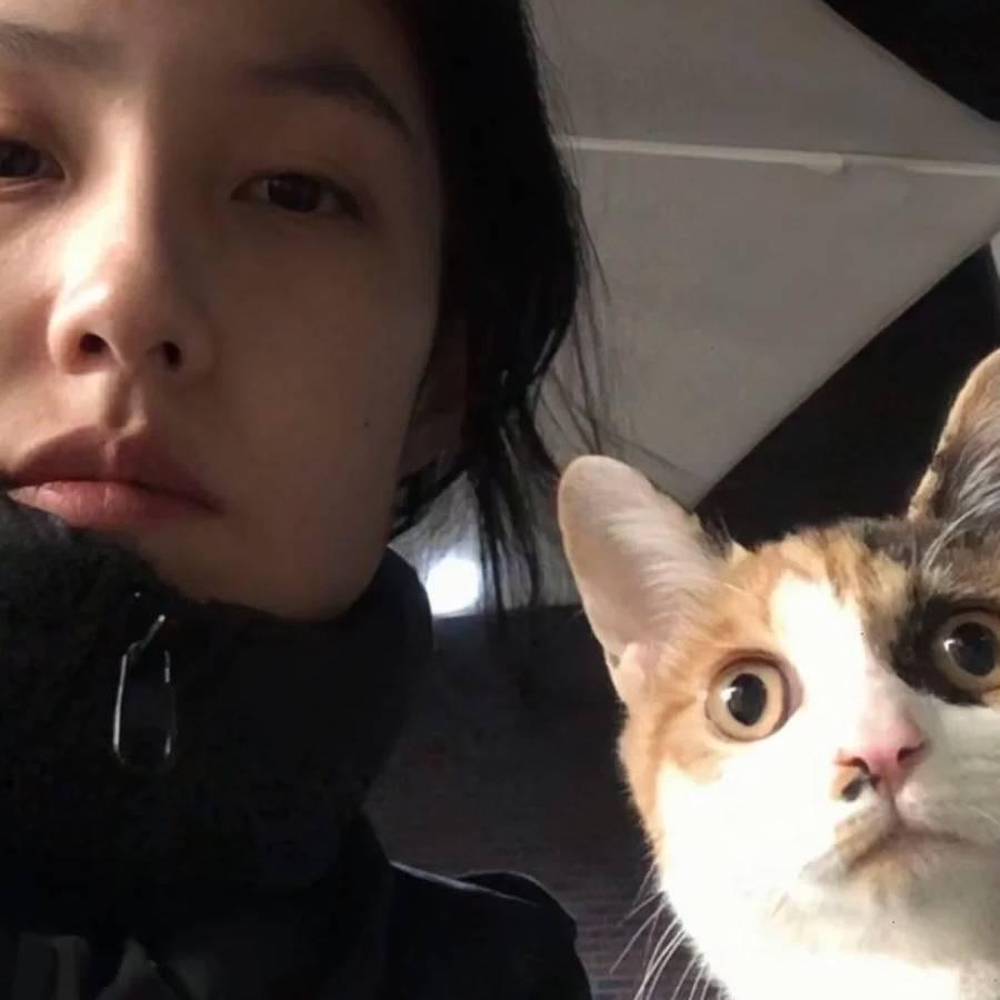 睡个好觉