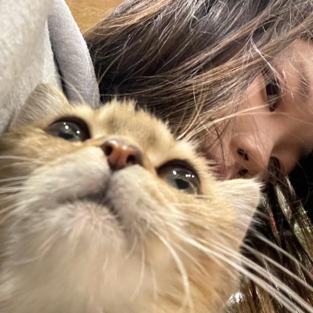 腼腆小美