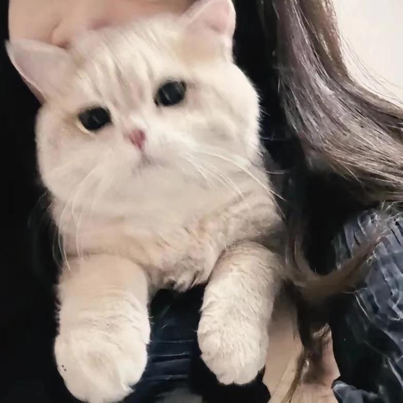 鱼柒📷淄博（经营版）