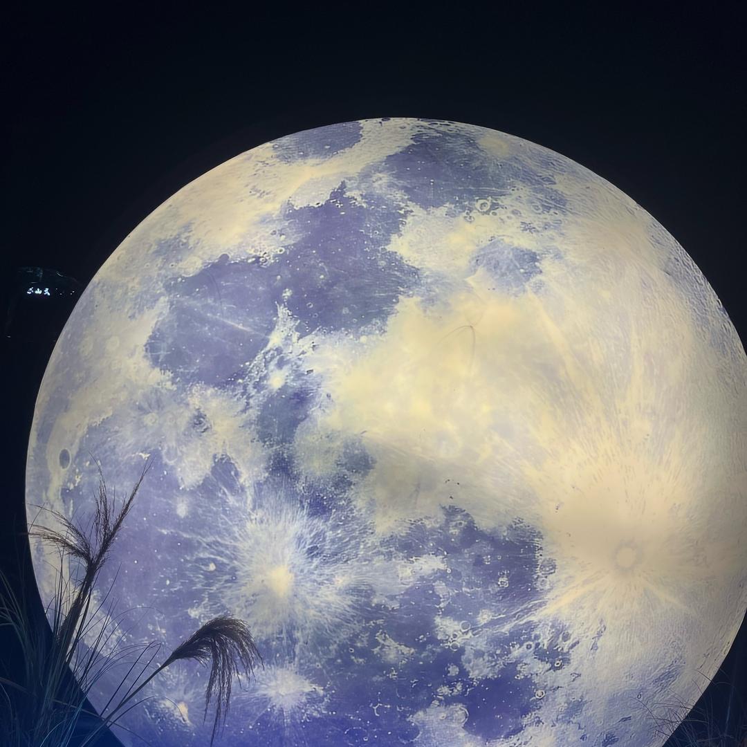 ✨  ︵ ("\(●-●) \ /
