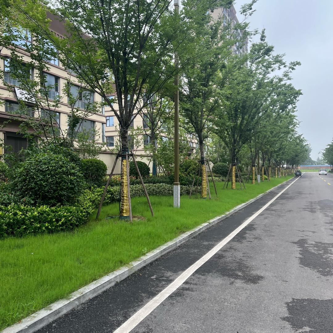 济宁鼎立建筑园林景观工程有限公司