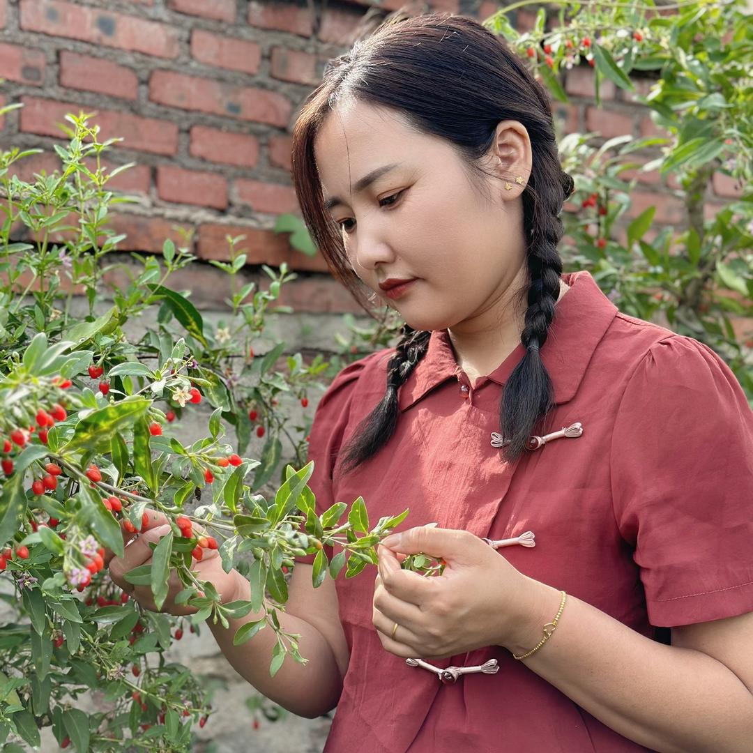 张小稳