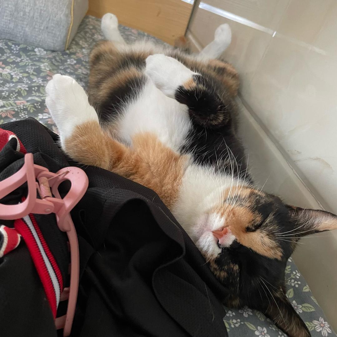 阿洪回忆小马甲