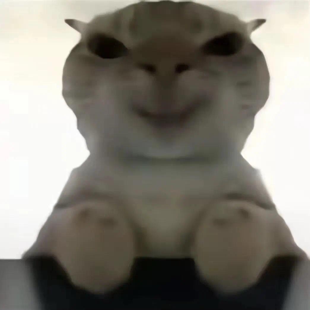 🌚🌚