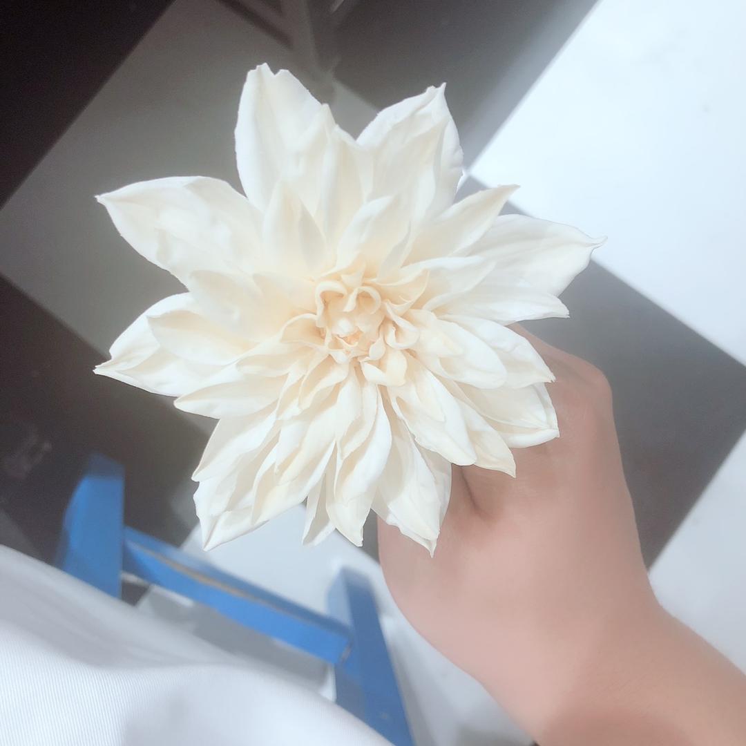 滑雪的维尼熊🏂