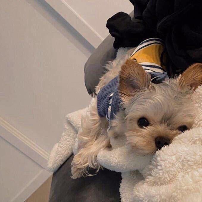 baj