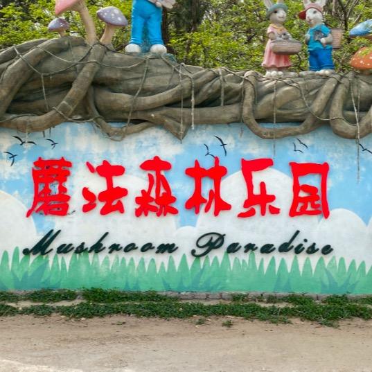 仰口魔法森林露营公园