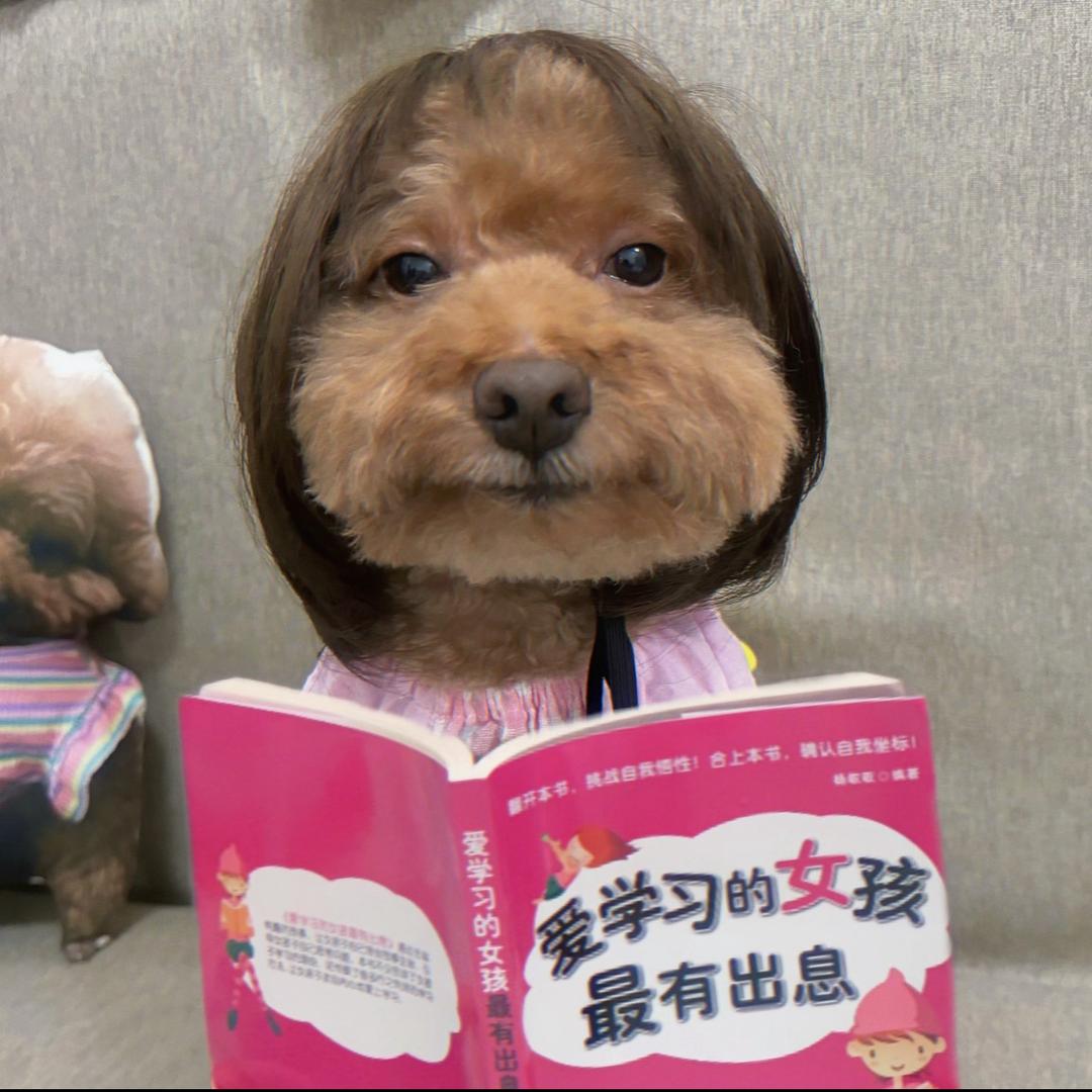 呜呼嘿哈
