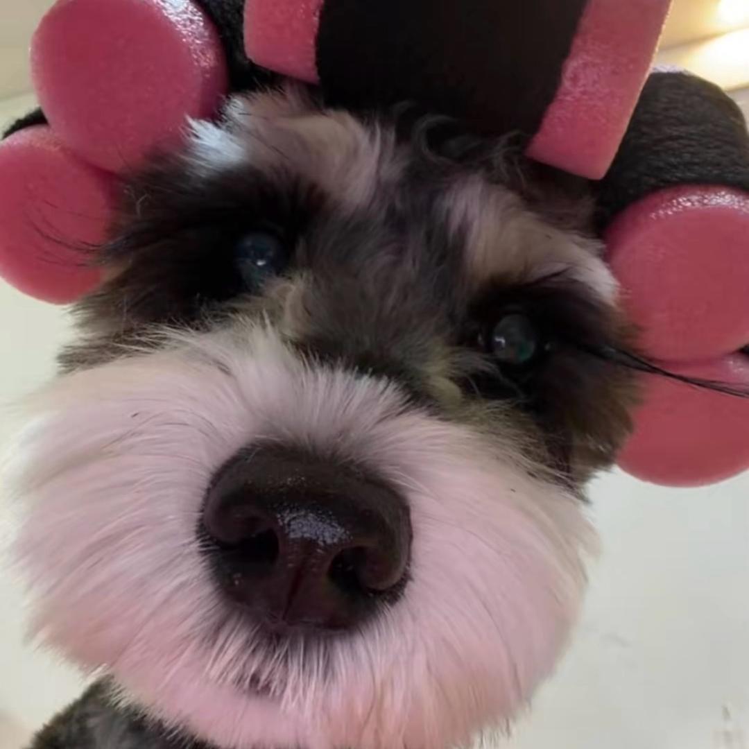 ㅤㅤㅤ樂