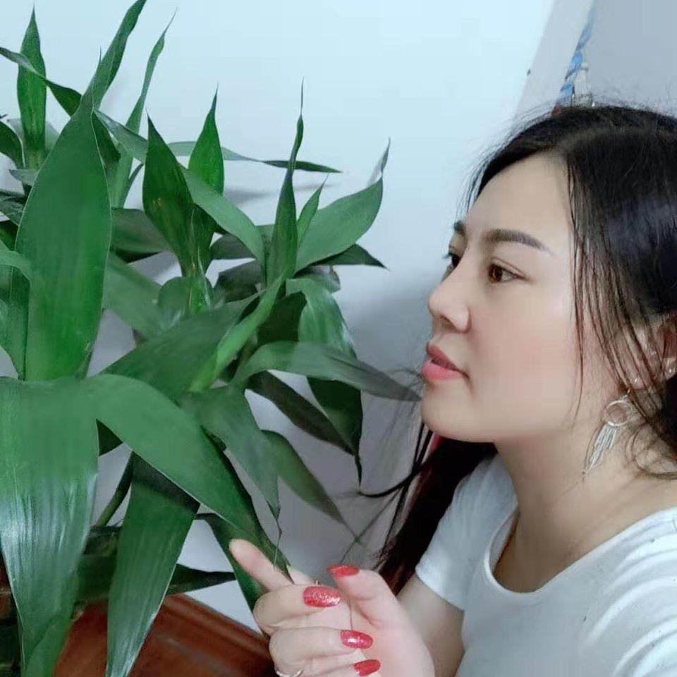 陈封的记忆