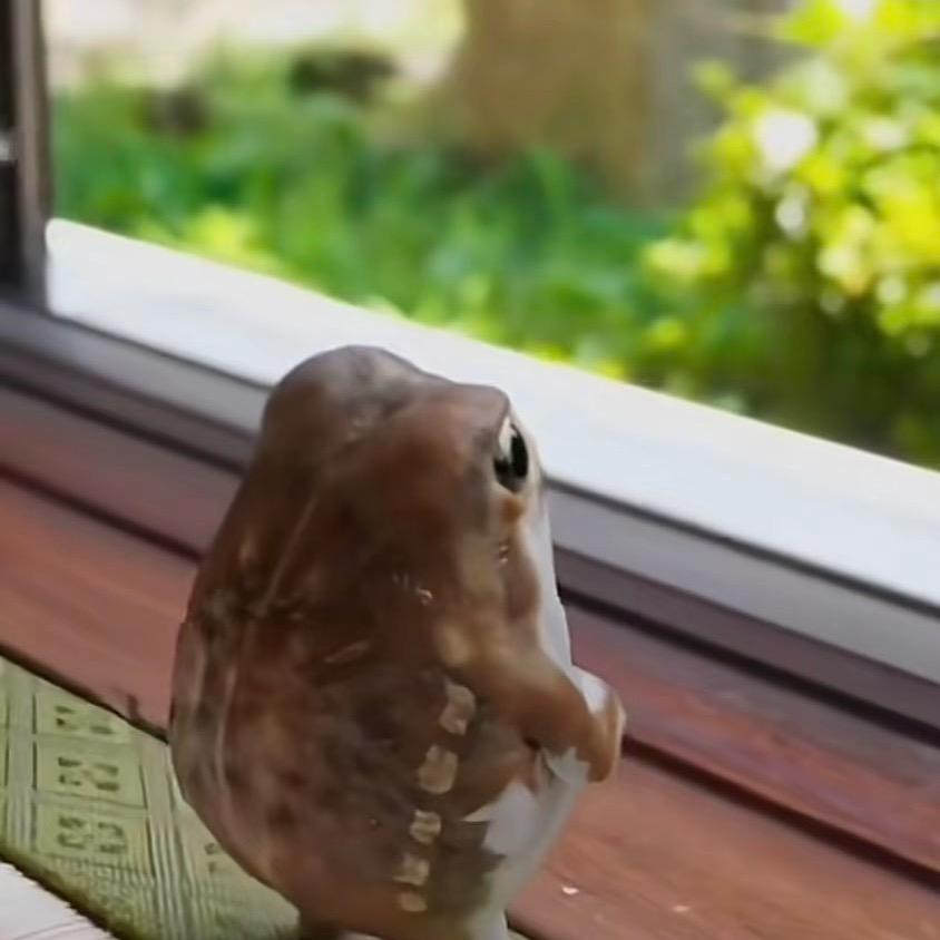 仙居县乐通农场（个体工商户）