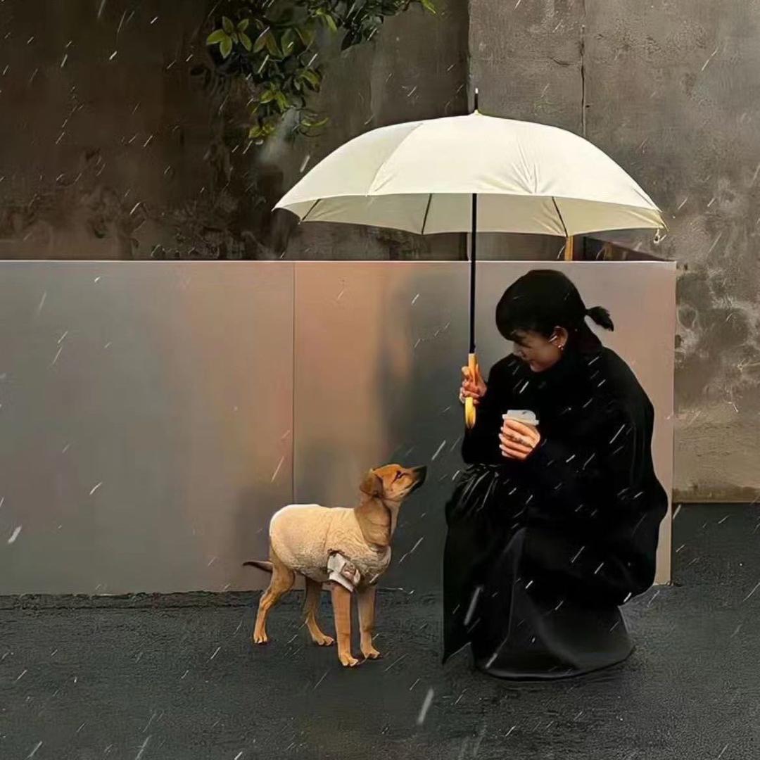 忙忙