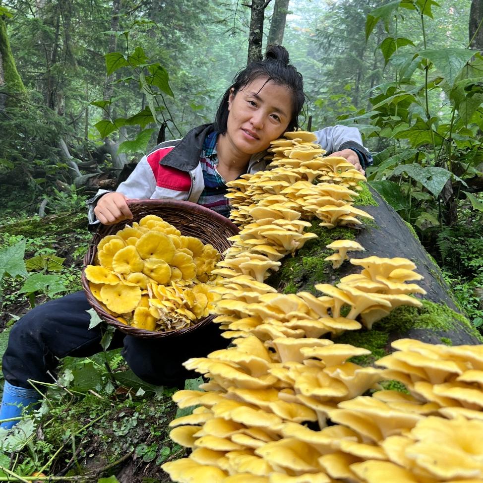 南北风味小六妹的小店